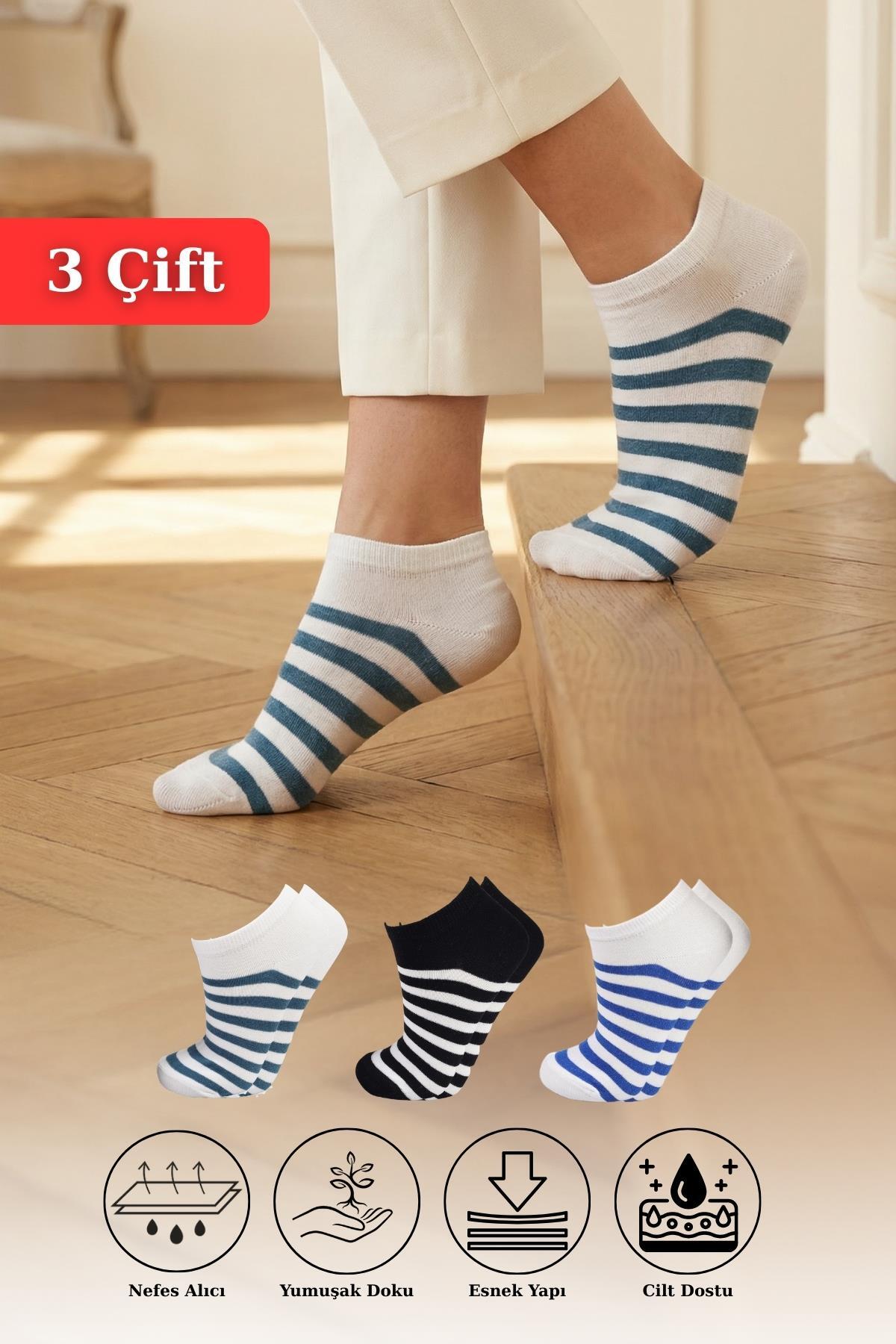 Saks-Turkuaz-Siyah Çizgili 3'lü Çorap 1050 - 1