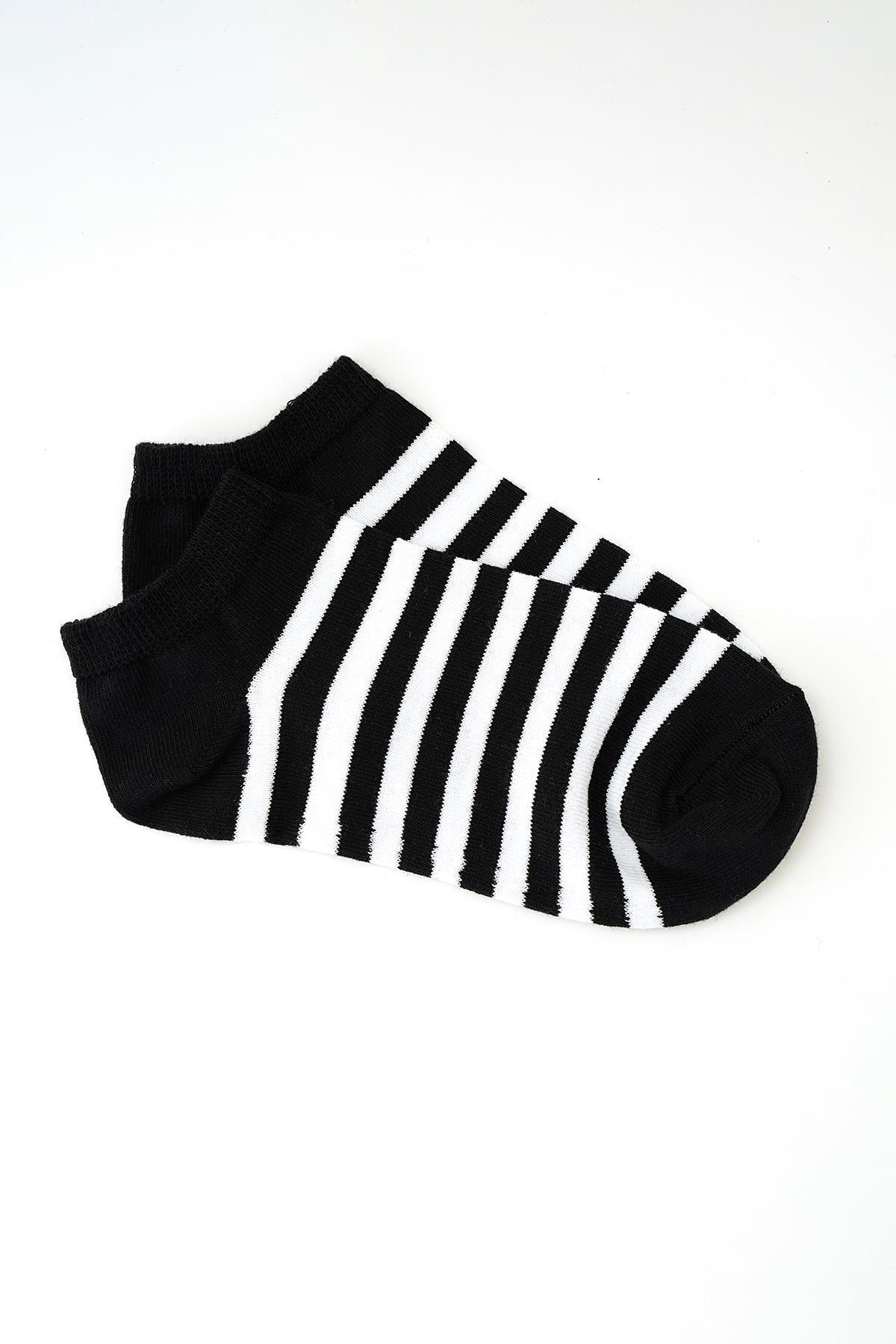 1053 Çizgili 3'lü Çorap Renkli - 4