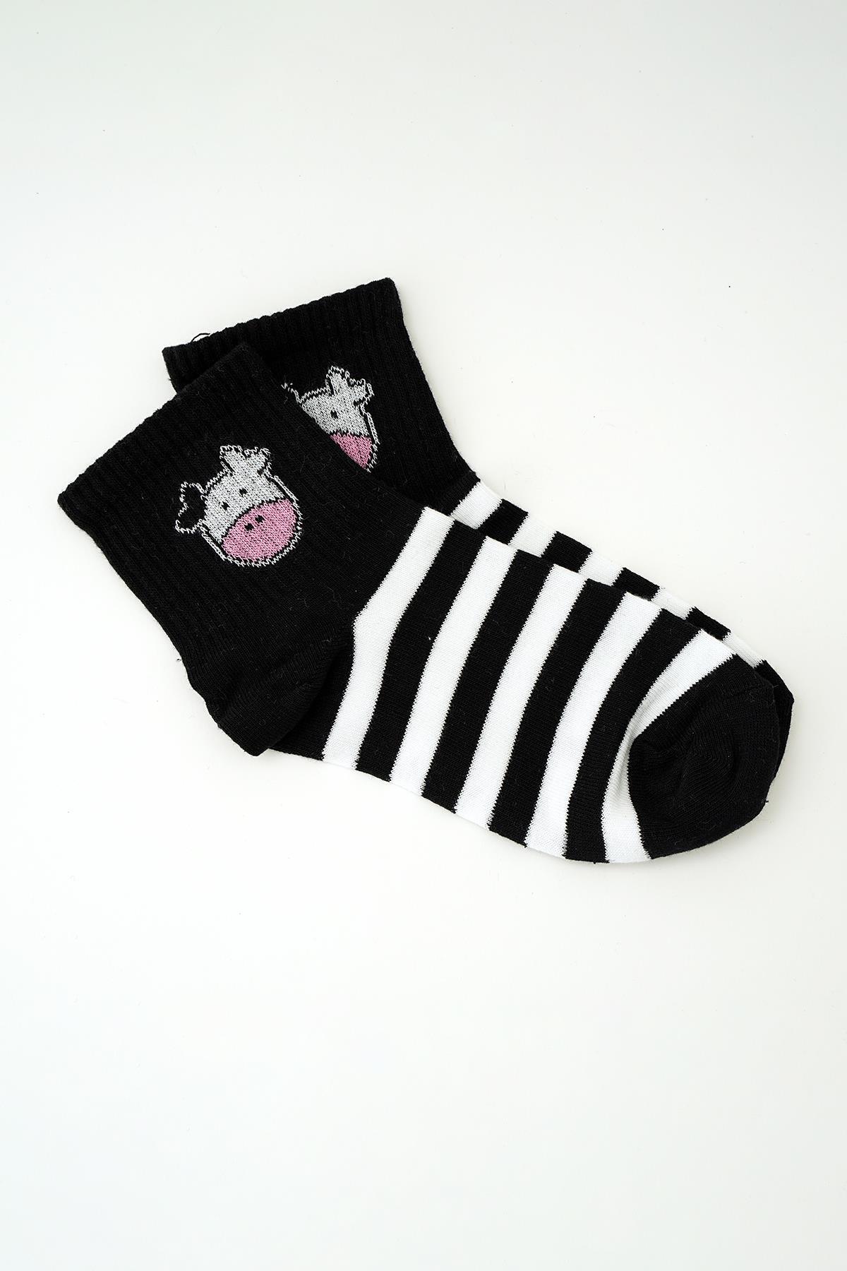 Desenli 5'li Desenli Soket Çorap 1066 - 4