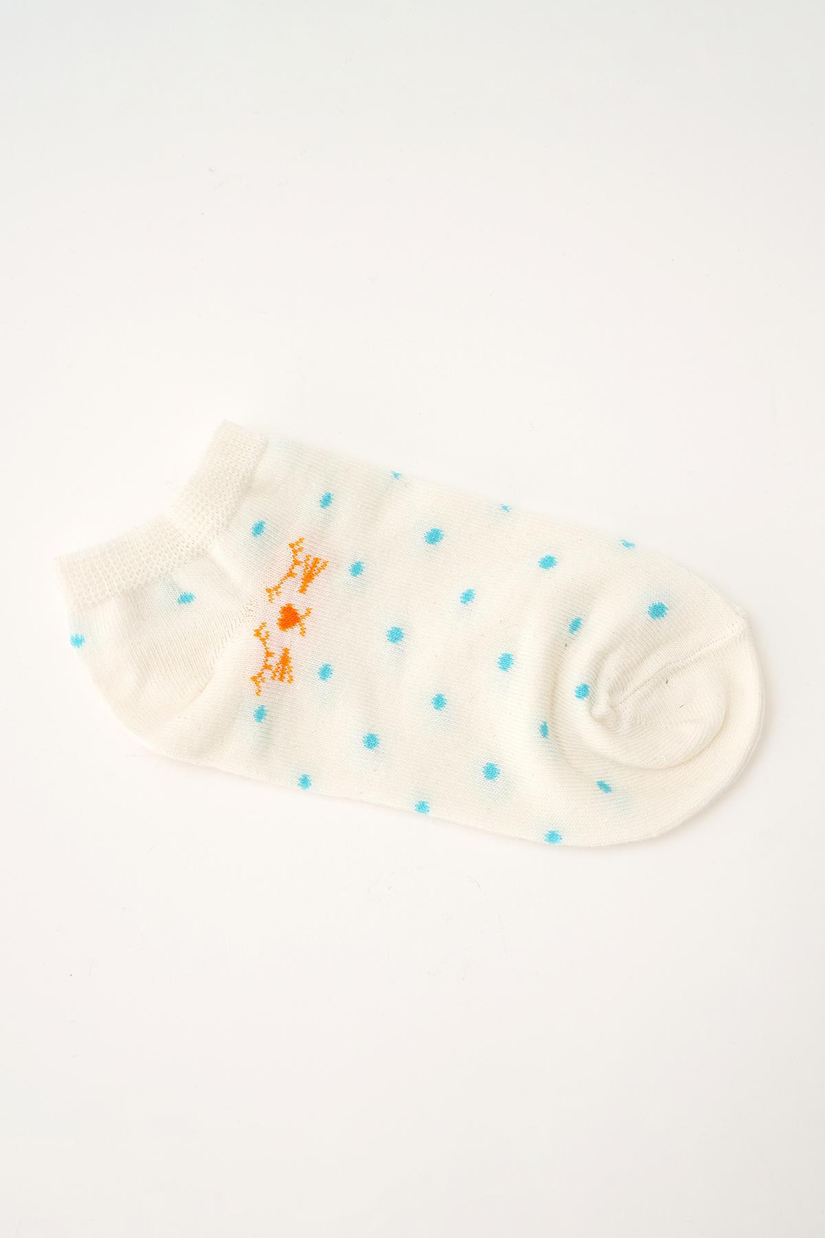 1069 Nokta Desen 3'lü Patik Çorap Renkli - 2