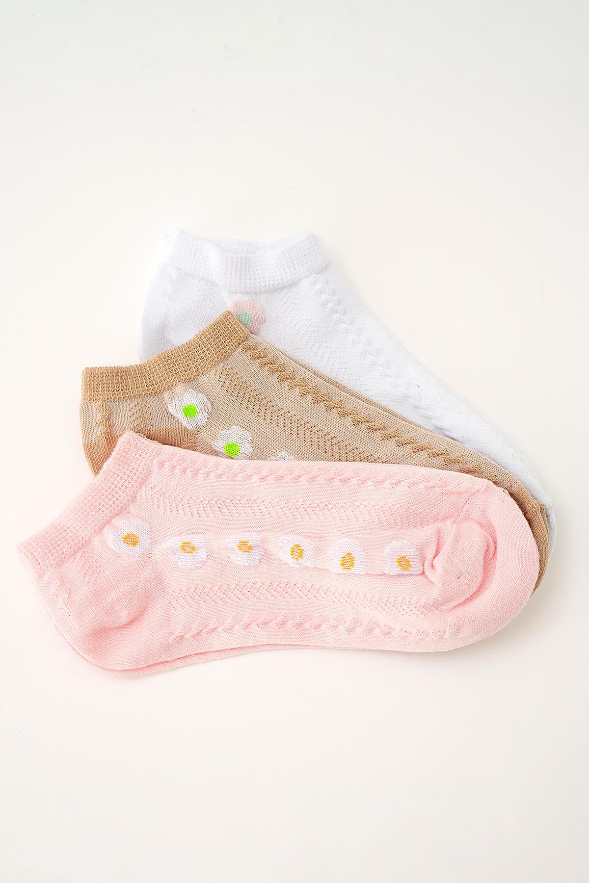 Renkli Papatya Desen 3'lü Patik Çorap 1076 - 1