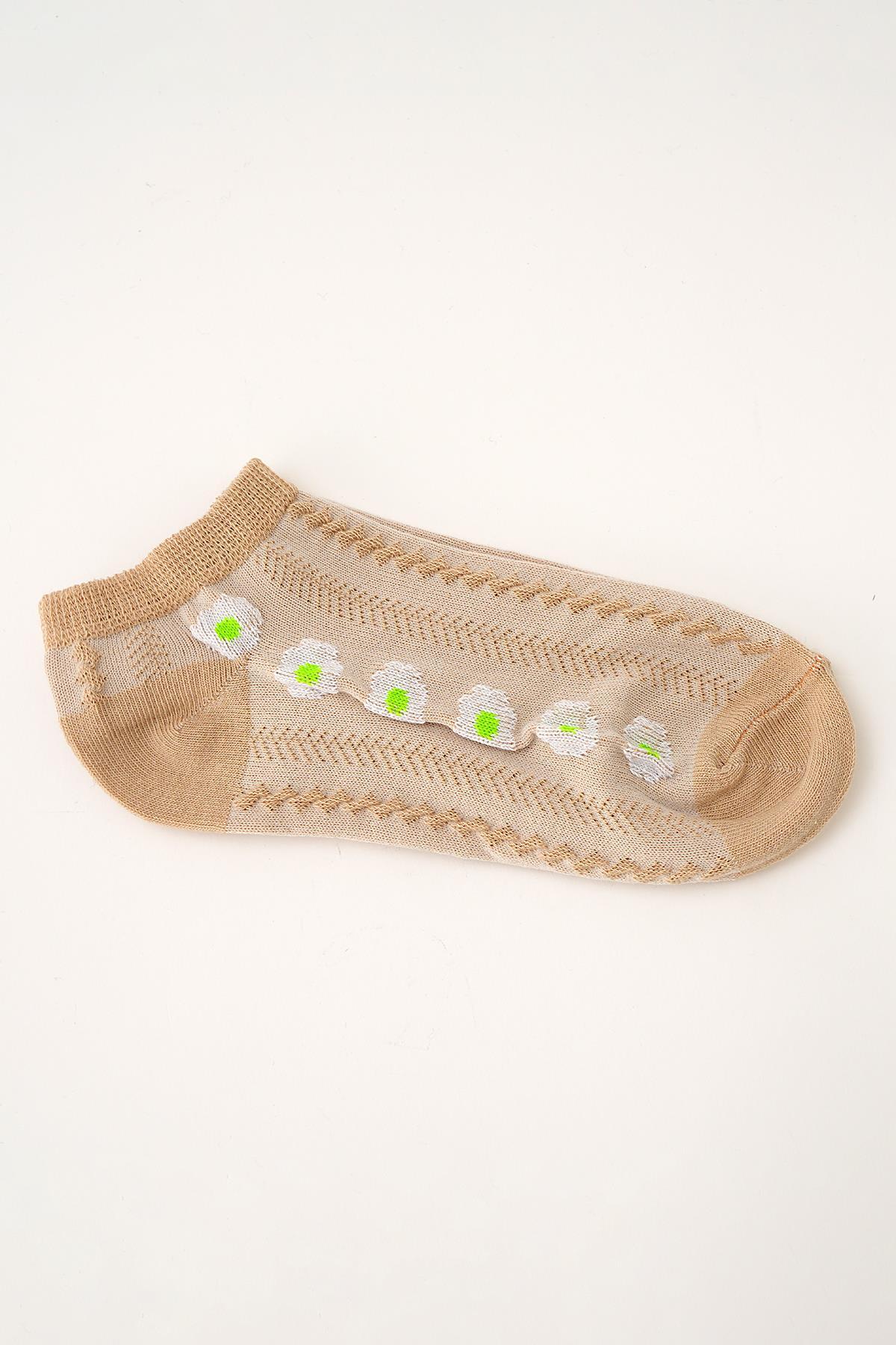 Renkli Papatya Desen 3'lü Patik Çorap 1076 - 4