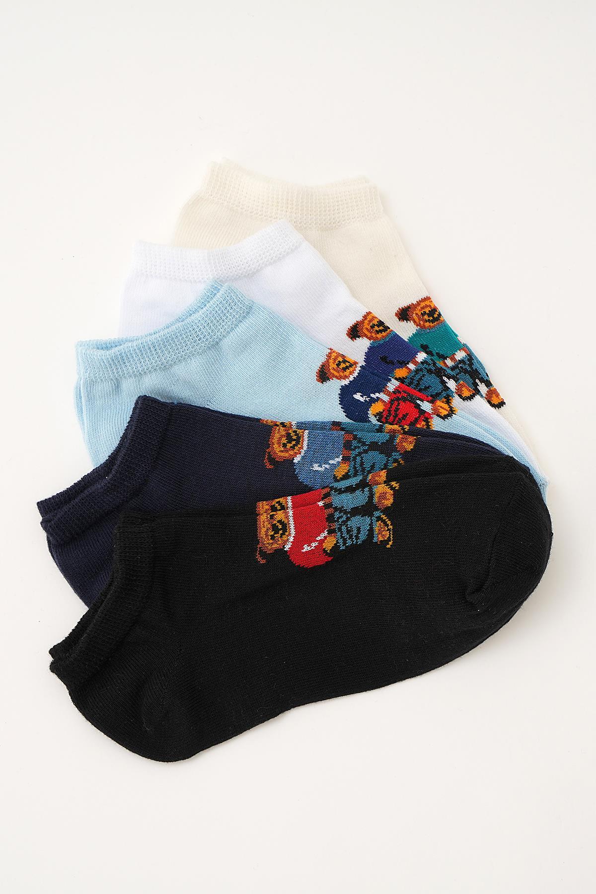 Renkli Ayıcık Desen 5'li Babet Çorap 1082 