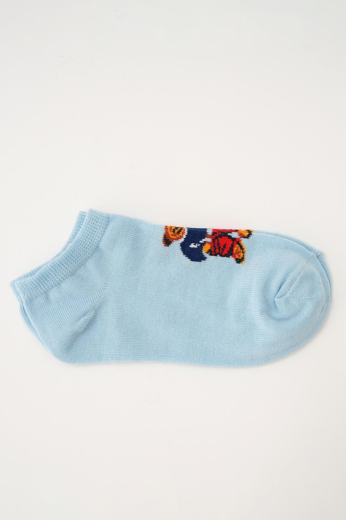 Renkli Ayıcık Desen 5'li Babet Çorap 1082 - 5