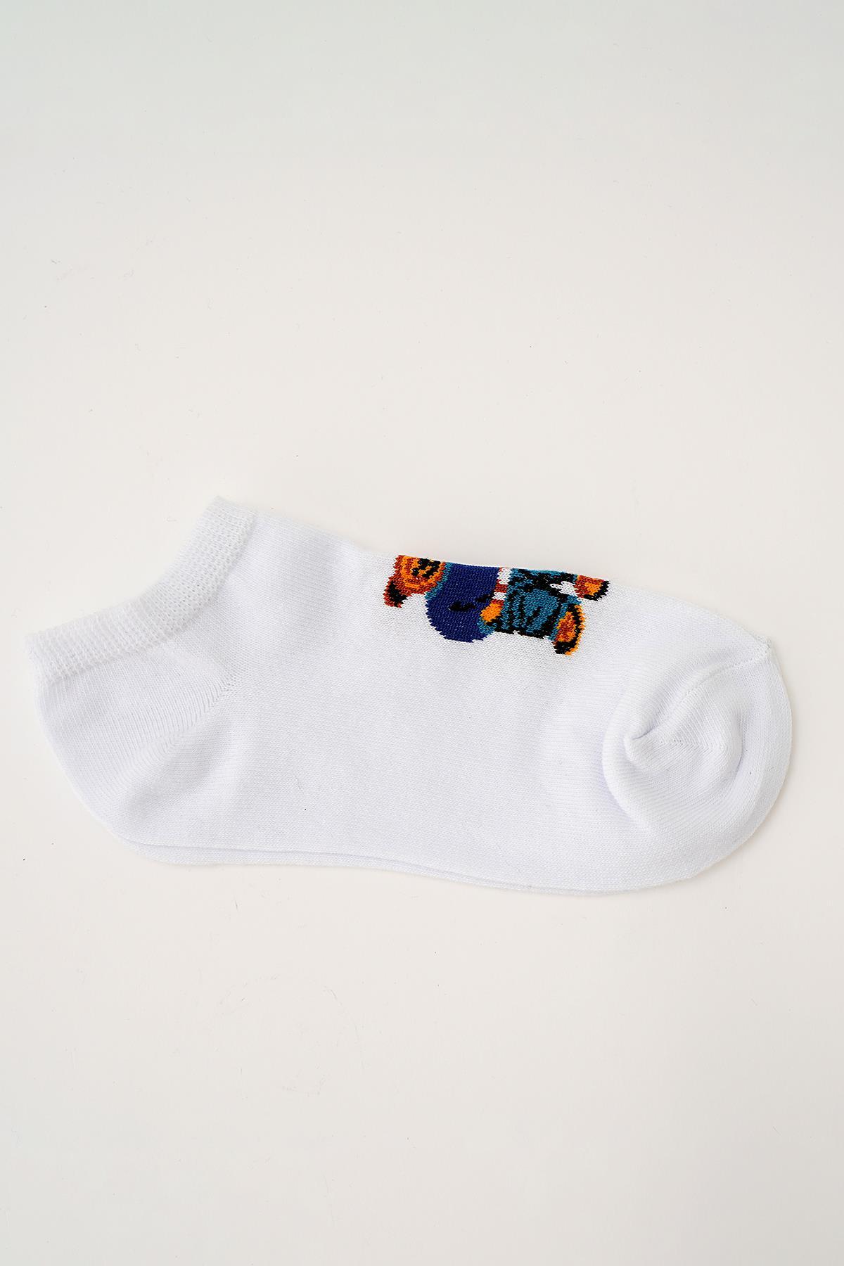 Renkli Ayıcık Desen 5'li Babet Çorap 1082 - 6