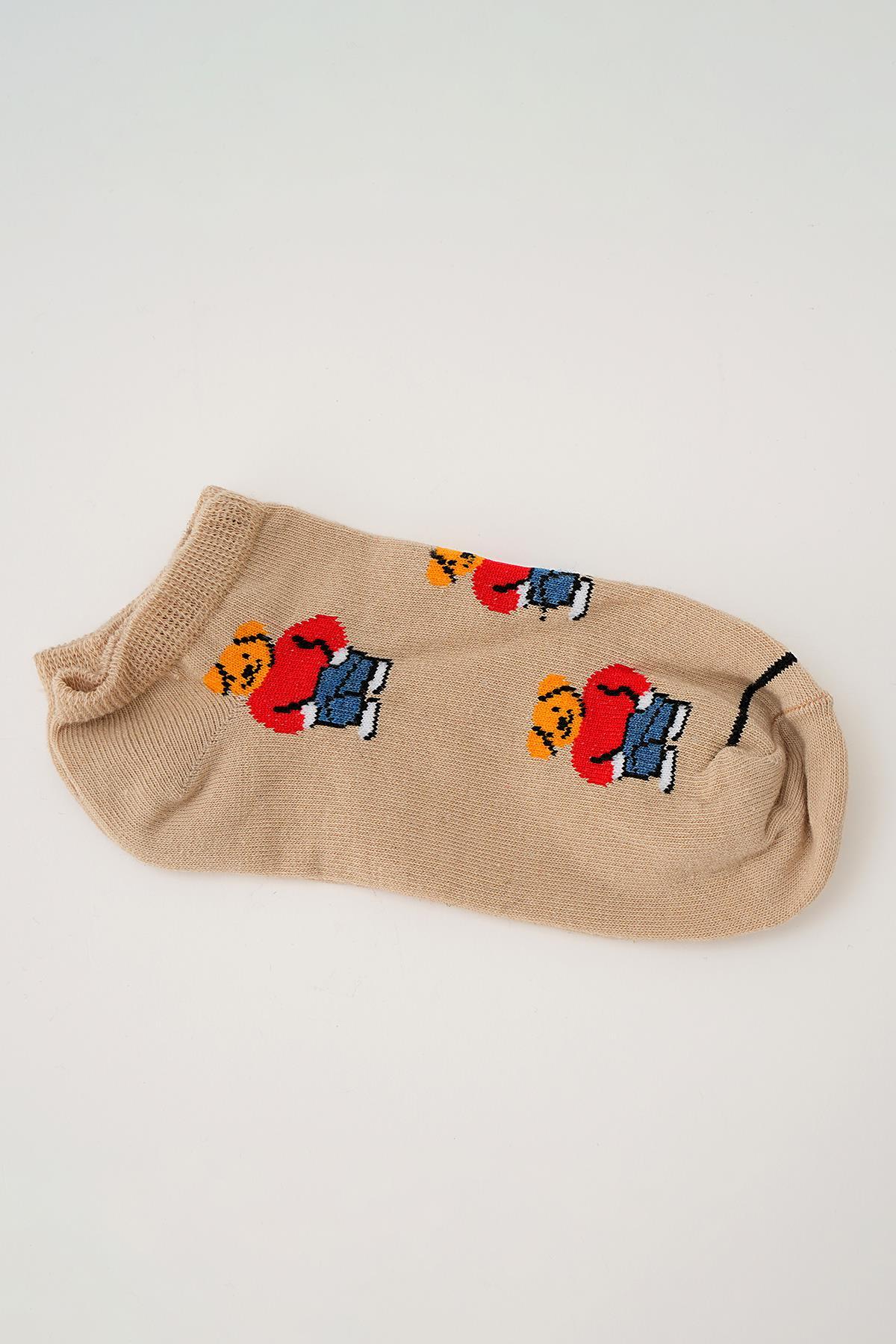 Renkli Ayıcık Desen 5'li Patik Çorap 1087 - 3