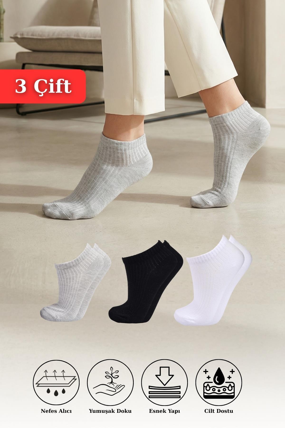 Beyaz-Gri-Siyah 3'lü Derbili Bayan Patik Çorap 1106 