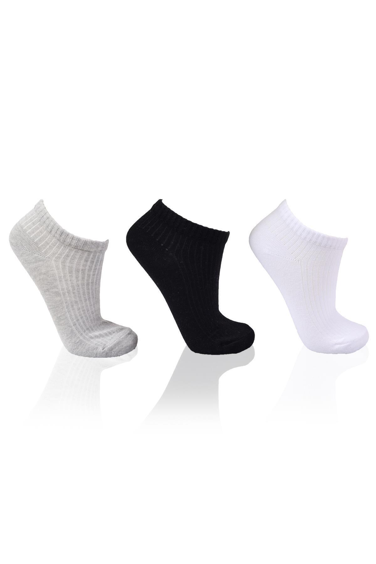 Beyaz-Gri-Siyah 3'lü Derbili Bayan Patik Çorap 1106 - RAYS