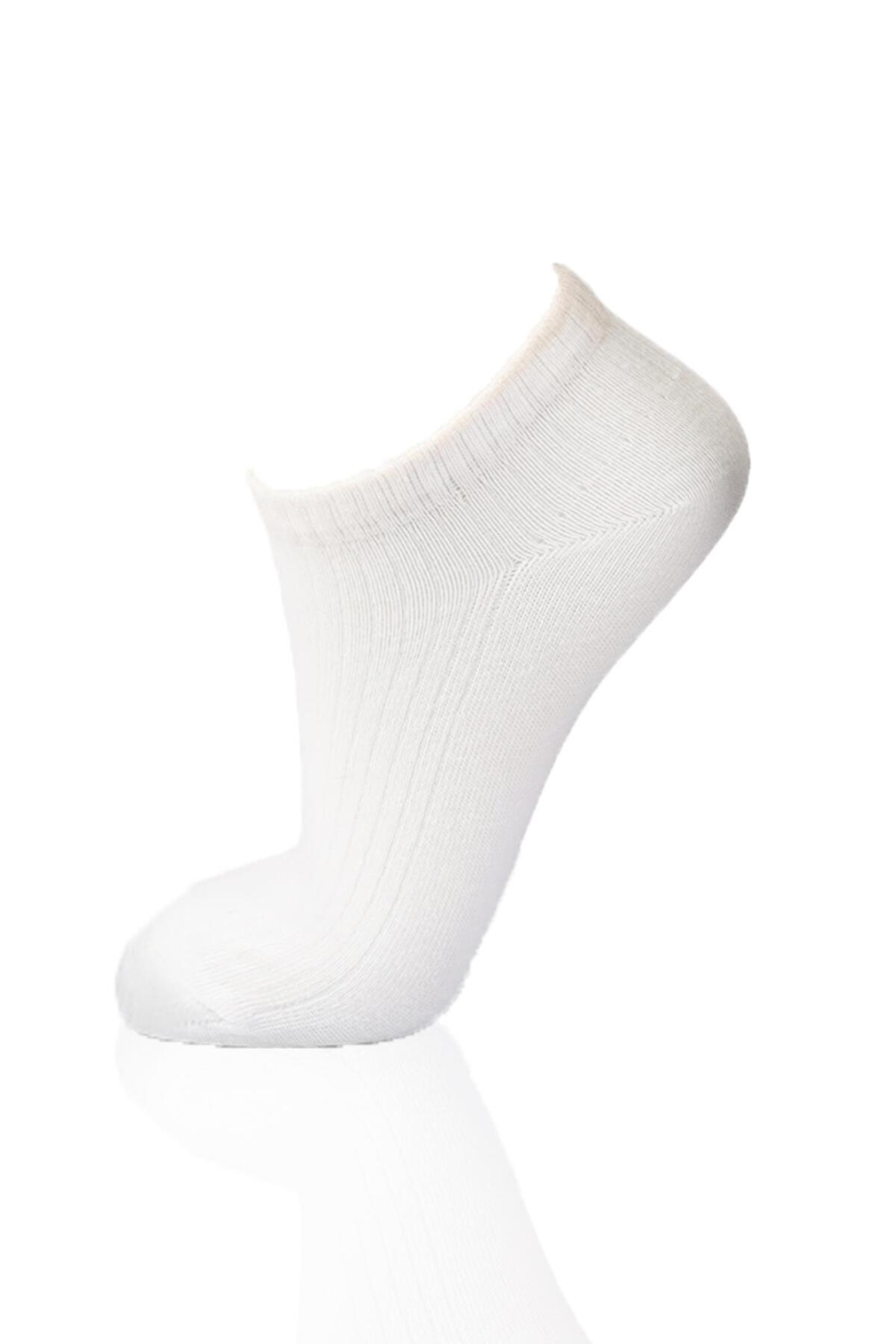 1106 3'lü Derbili Kadın Patik Çorap Laci-Ekru-Vizon - 2