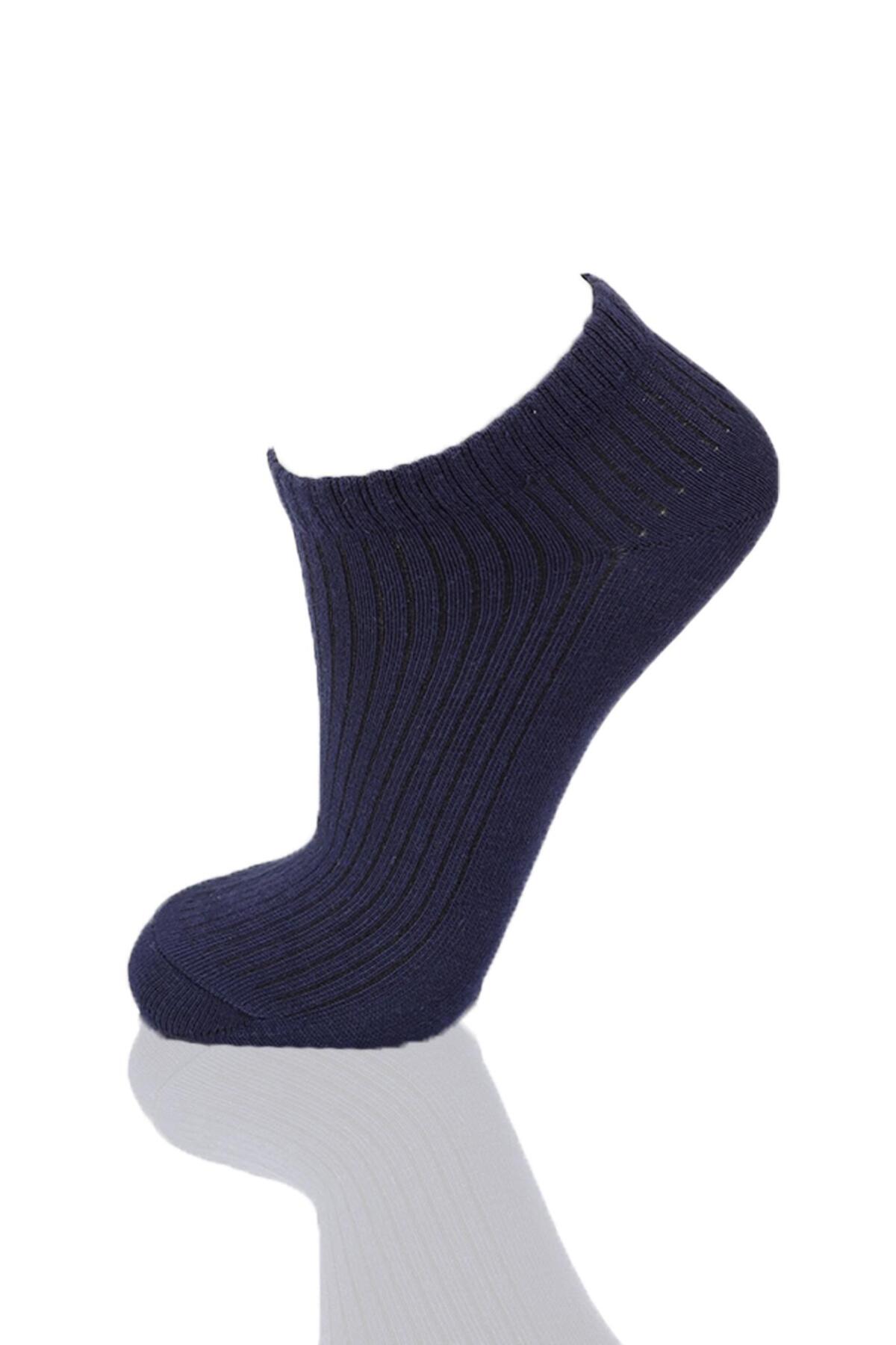 1106 3'lü Derbili Kadın Patik Çorap Laci-Ekru-Vizon - 3