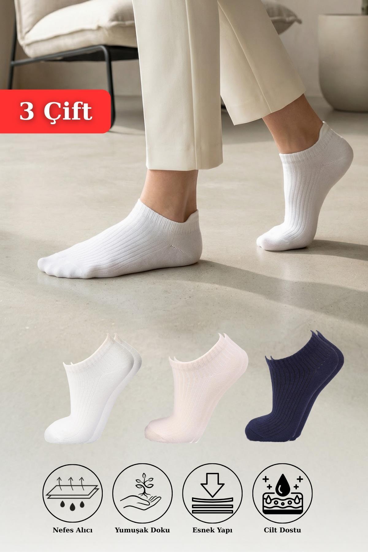 1106 3'lü Derbili Kadın Patik Çorap Laci-Ekru-Vizon - 1