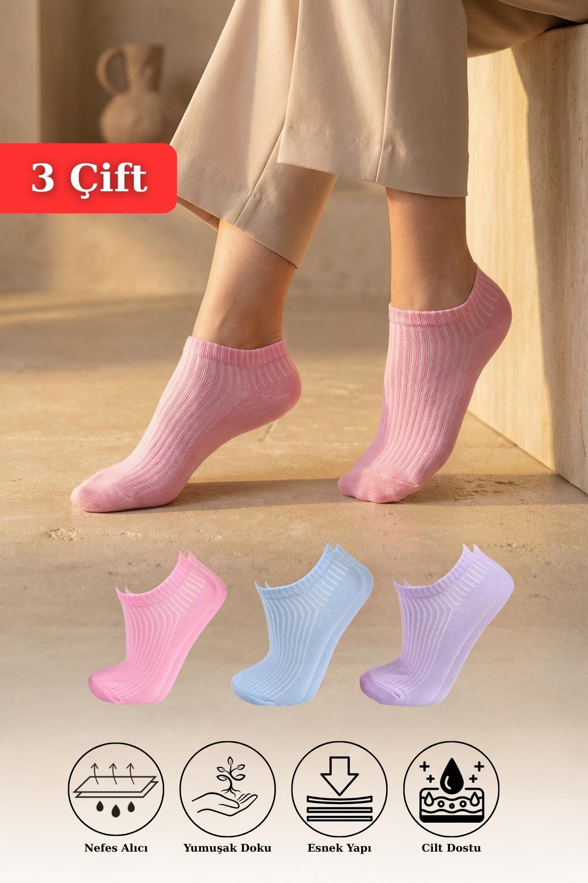 1106 3'lü Derbili Kadın Patik Çorap Pembe-Mavi-Lila - 1