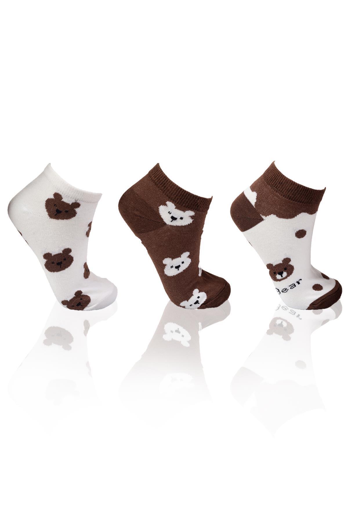 Renkli 3'lü Ayıcıklı Patik Çorap 1116 - 2