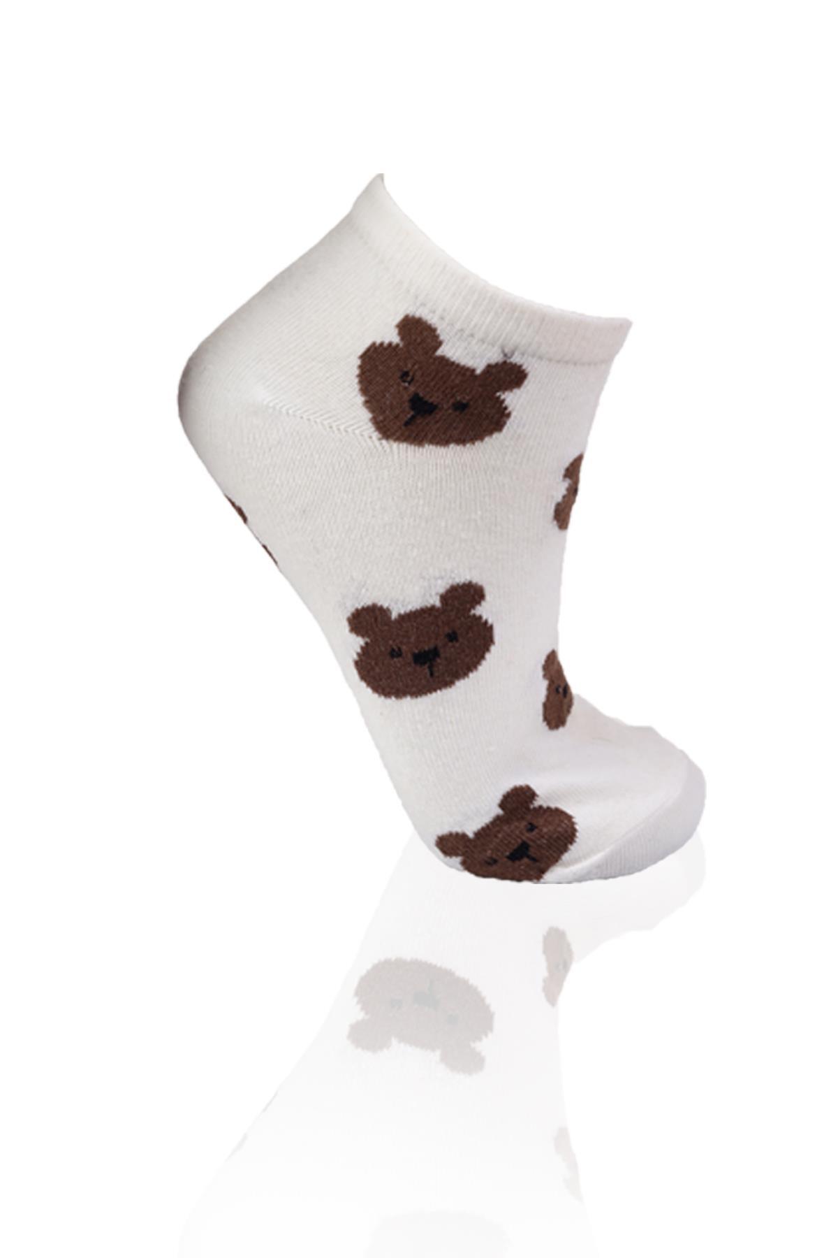 Renkli 3'lü Ayıcıklı Patik Çorap 1116 - RAYS