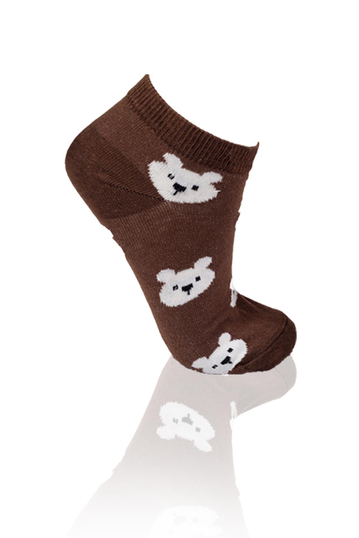 Renkli 3'lü Ayıcıklı Patik Çorap 1116 - RAYS