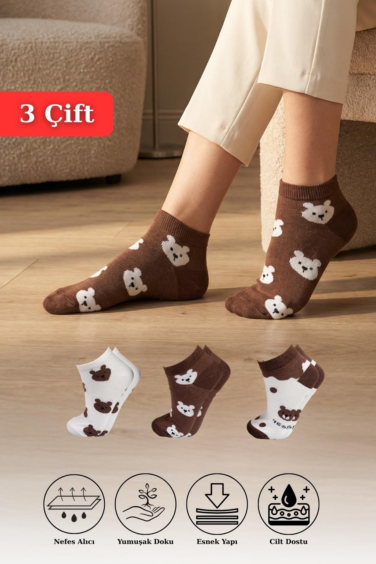 Renkli 3'lü Ayıcıklı Patik Çorap 1116 - 1