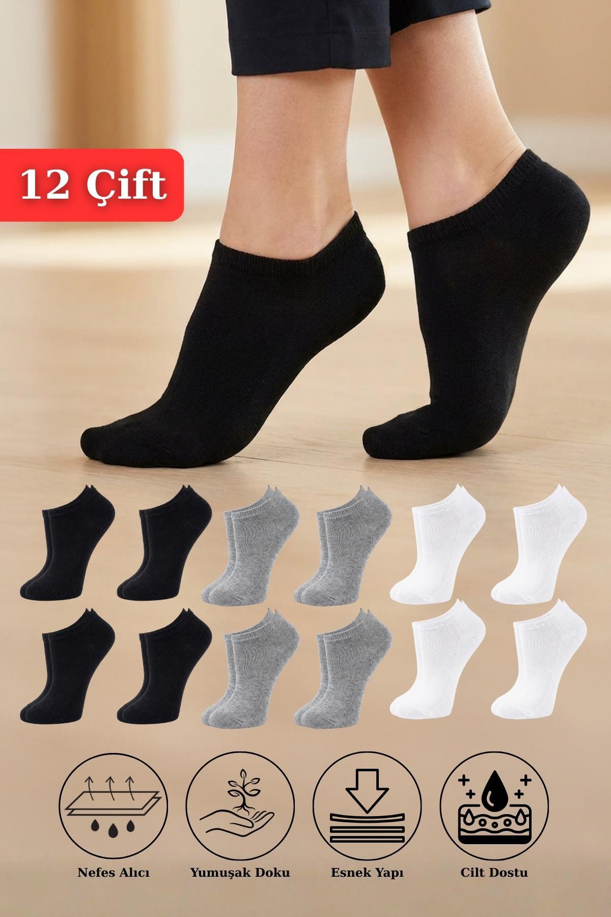 12'li Çorap Renkli 1056 - RAYS