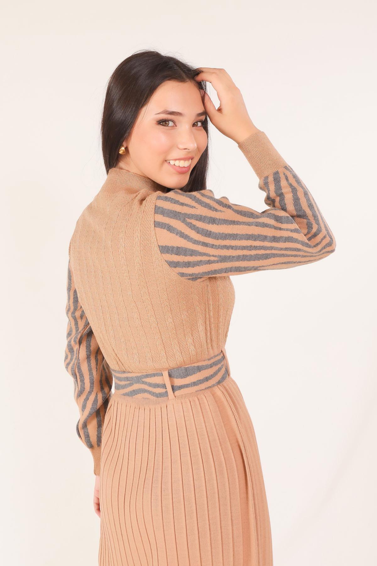 1795 Kolu Desenli Elbise Bisküvi - 3