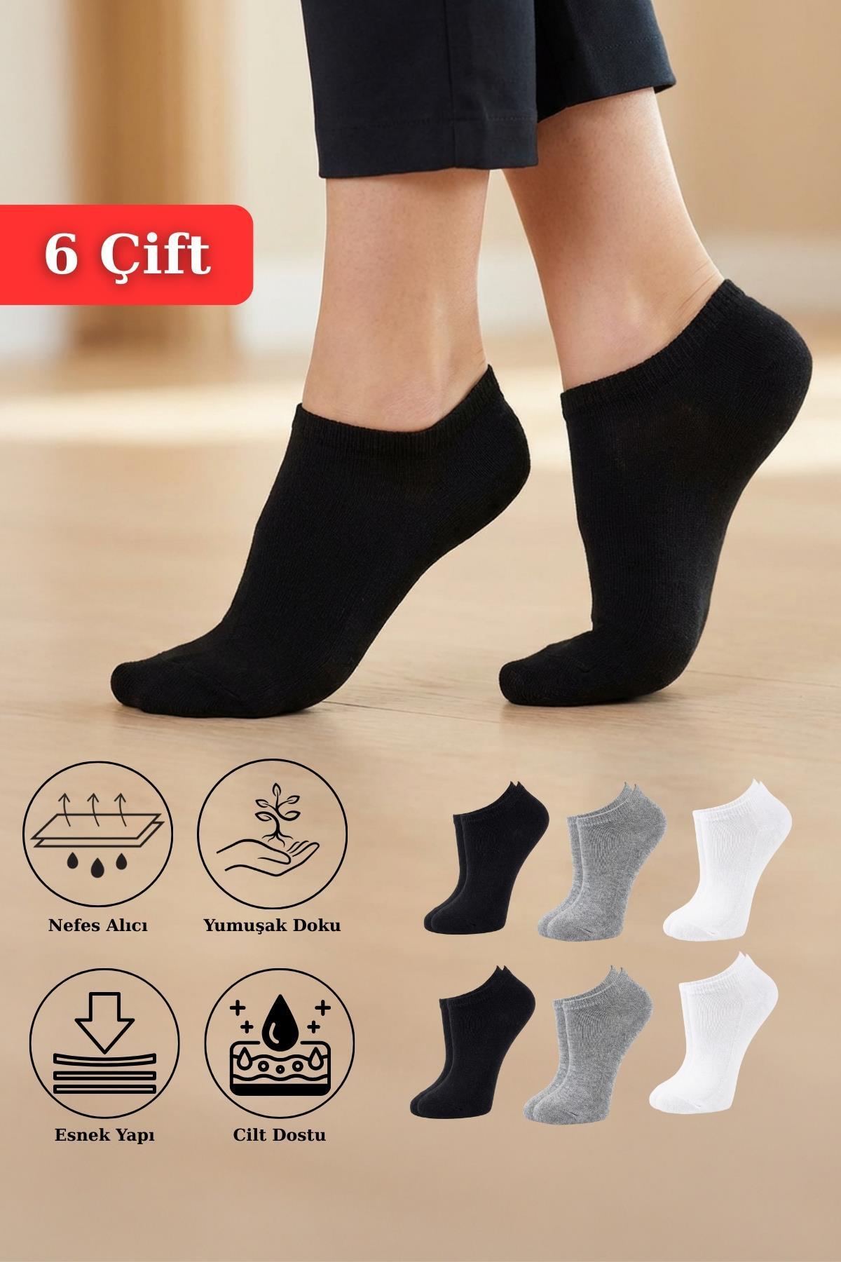 6'lı Çorap Renkli 1056 - RAYS