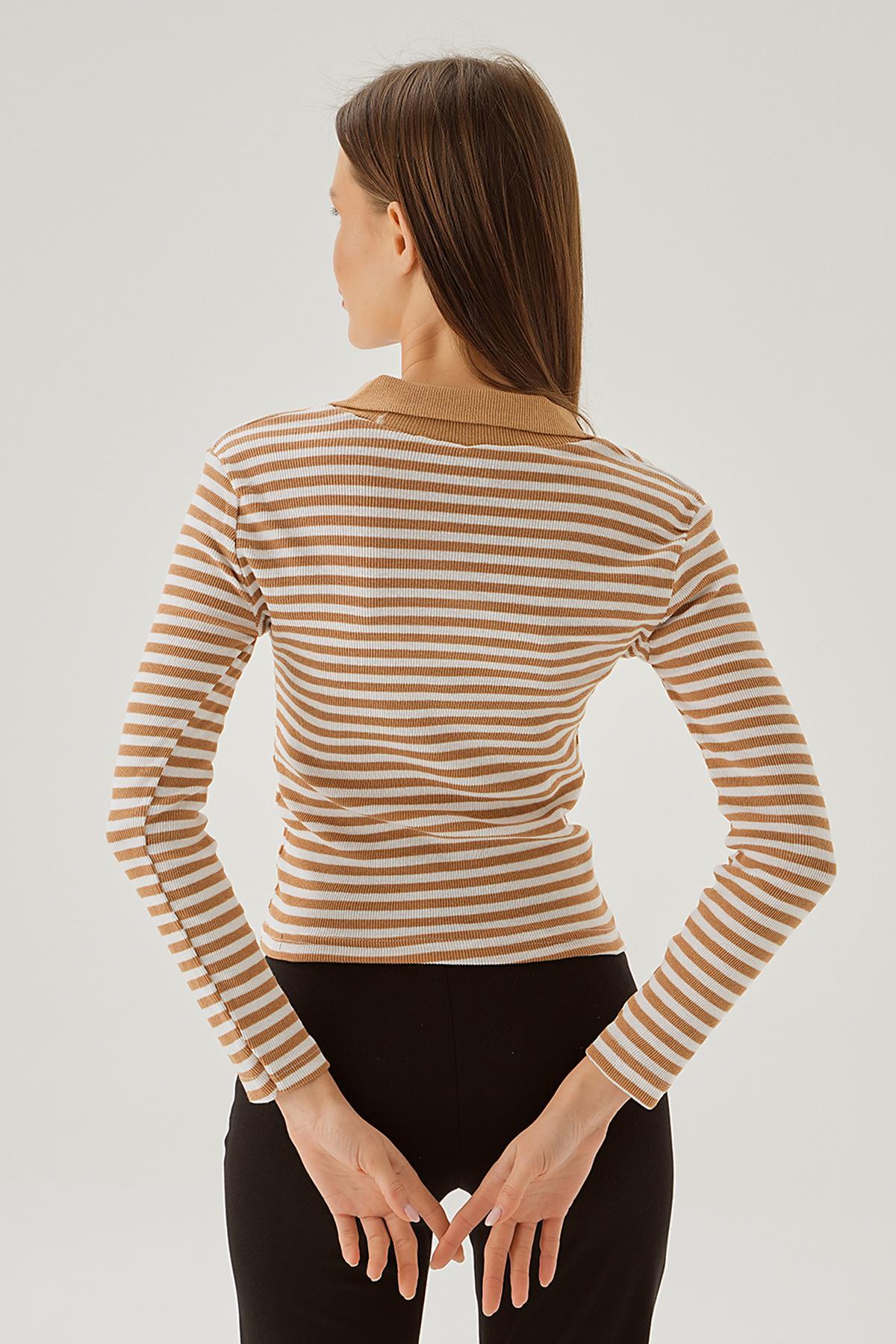 843 Çizgili Polo Yaka Bluz Vizon - 4