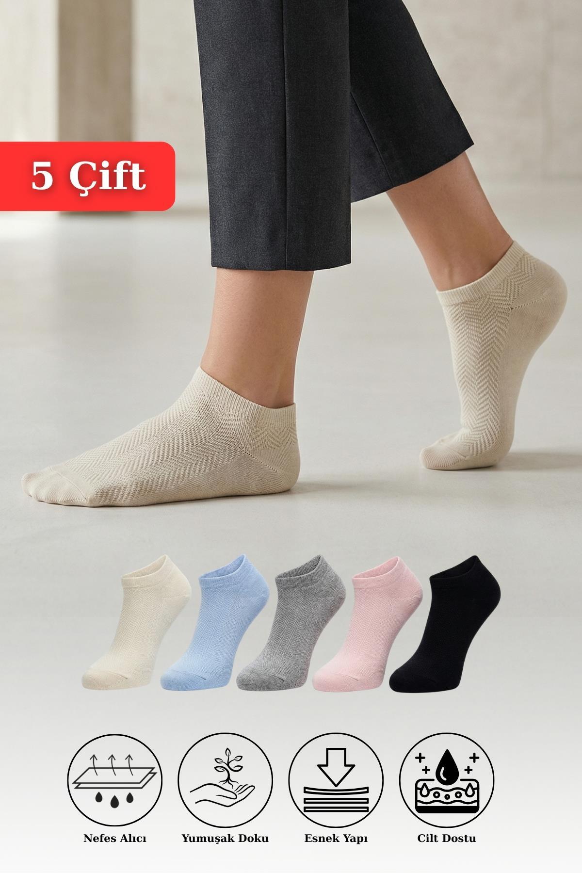 Renkli 5'li Örme Patik Çorap 1207 