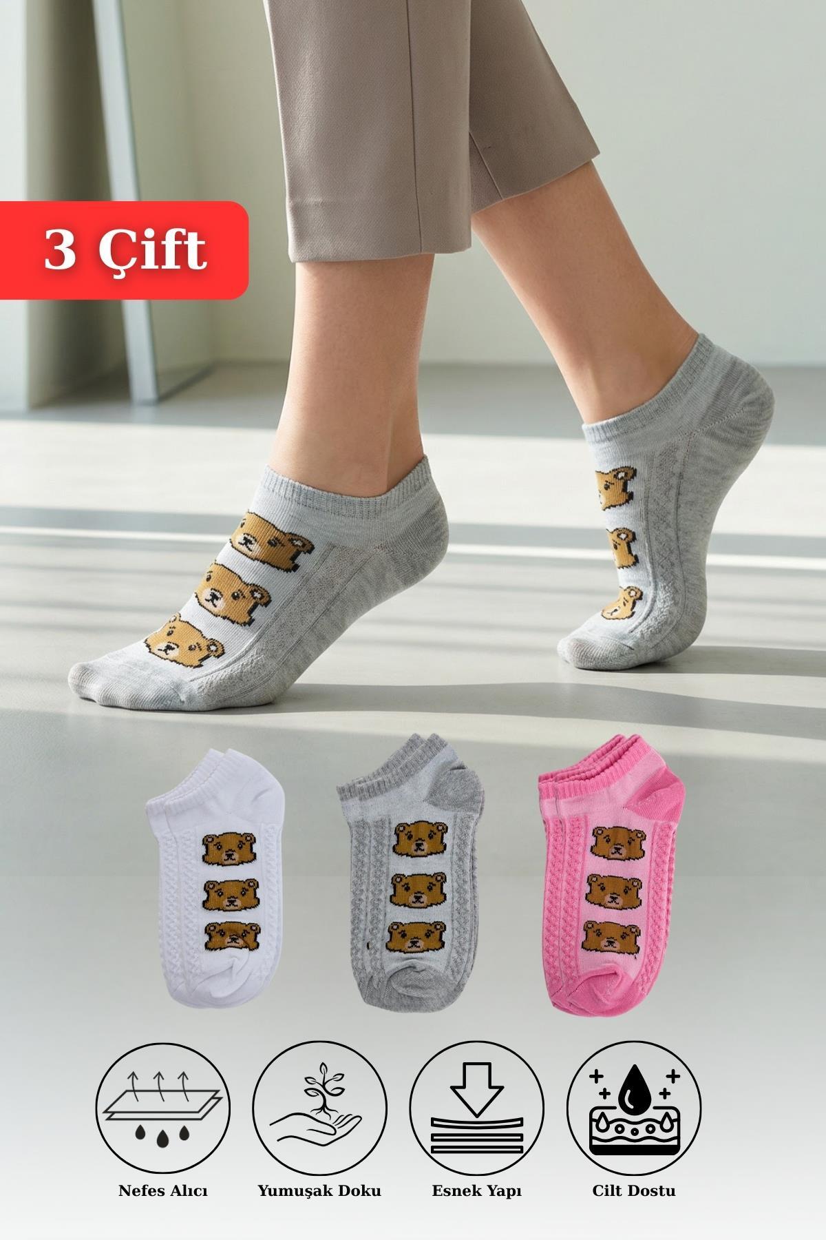 Renkli Ayı Desenli 3'lü Örme Patik Çorap 1204 - RAYS