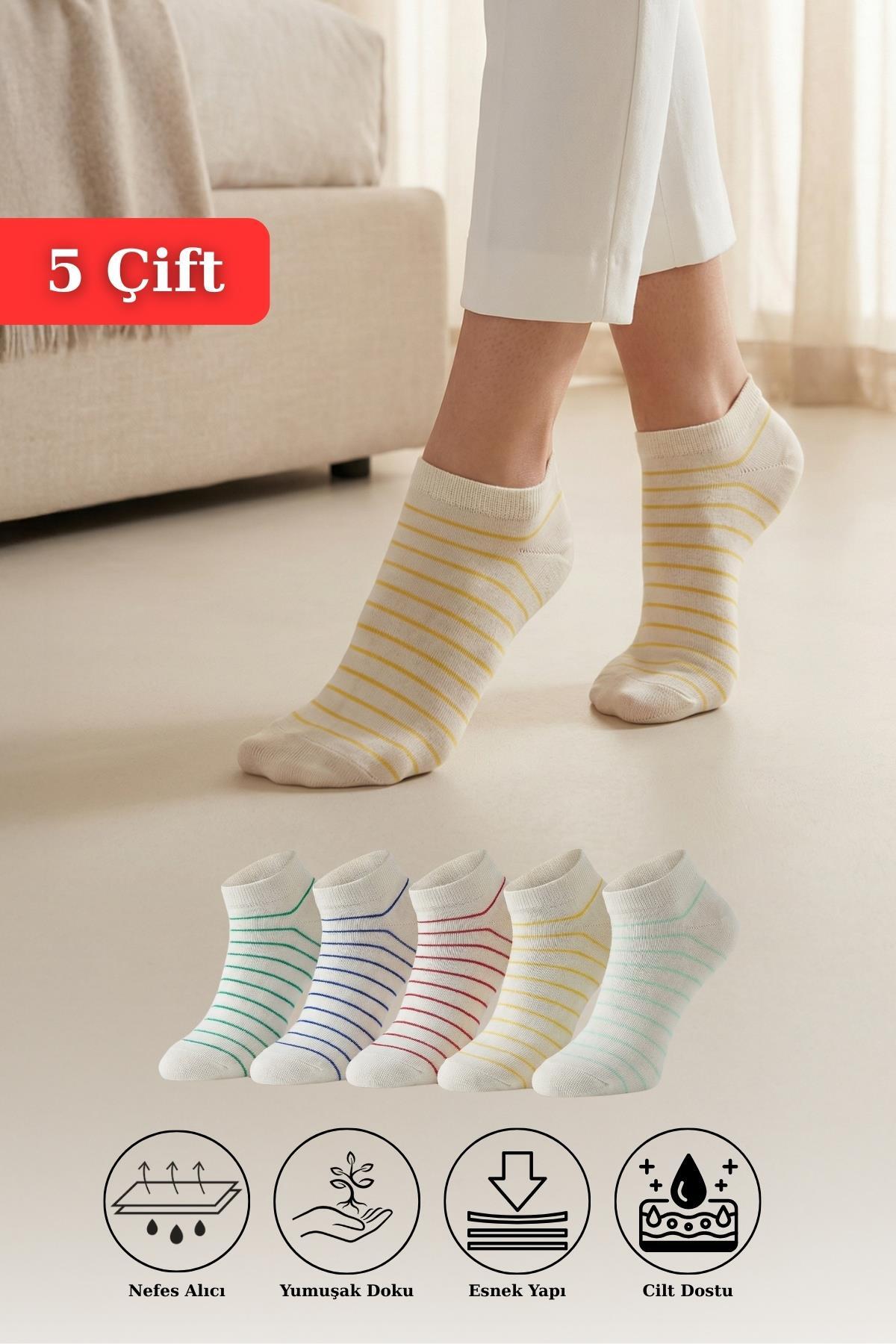 Renkli Çizgili 5'li Örme Patik Çorap 1205 - RAYS